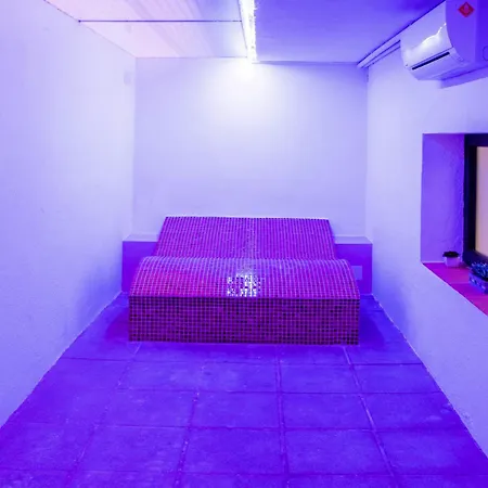 酒店 珀蒂帕劳酒店 - 仅限成年人