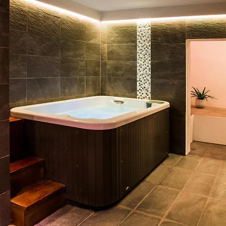 珀蒂帕劳酒店 - 仅限成年人 4*