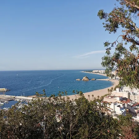 酒店 珀蒂帕劳酒店 - 仅限成年人